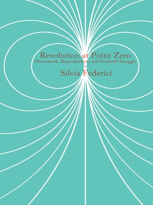 cover image of Revolution at Point Zero